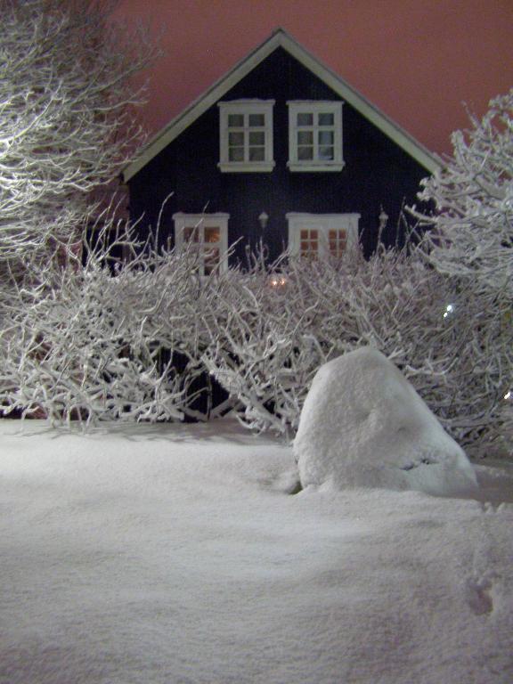 Art Centrum Apartments Reykjavík Værelse billede